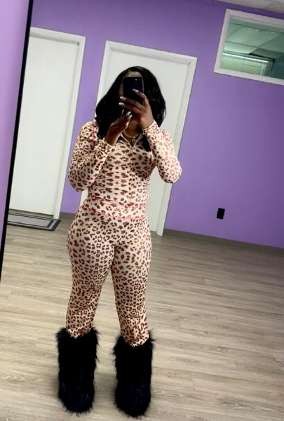 Cheetah set